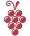 icon1